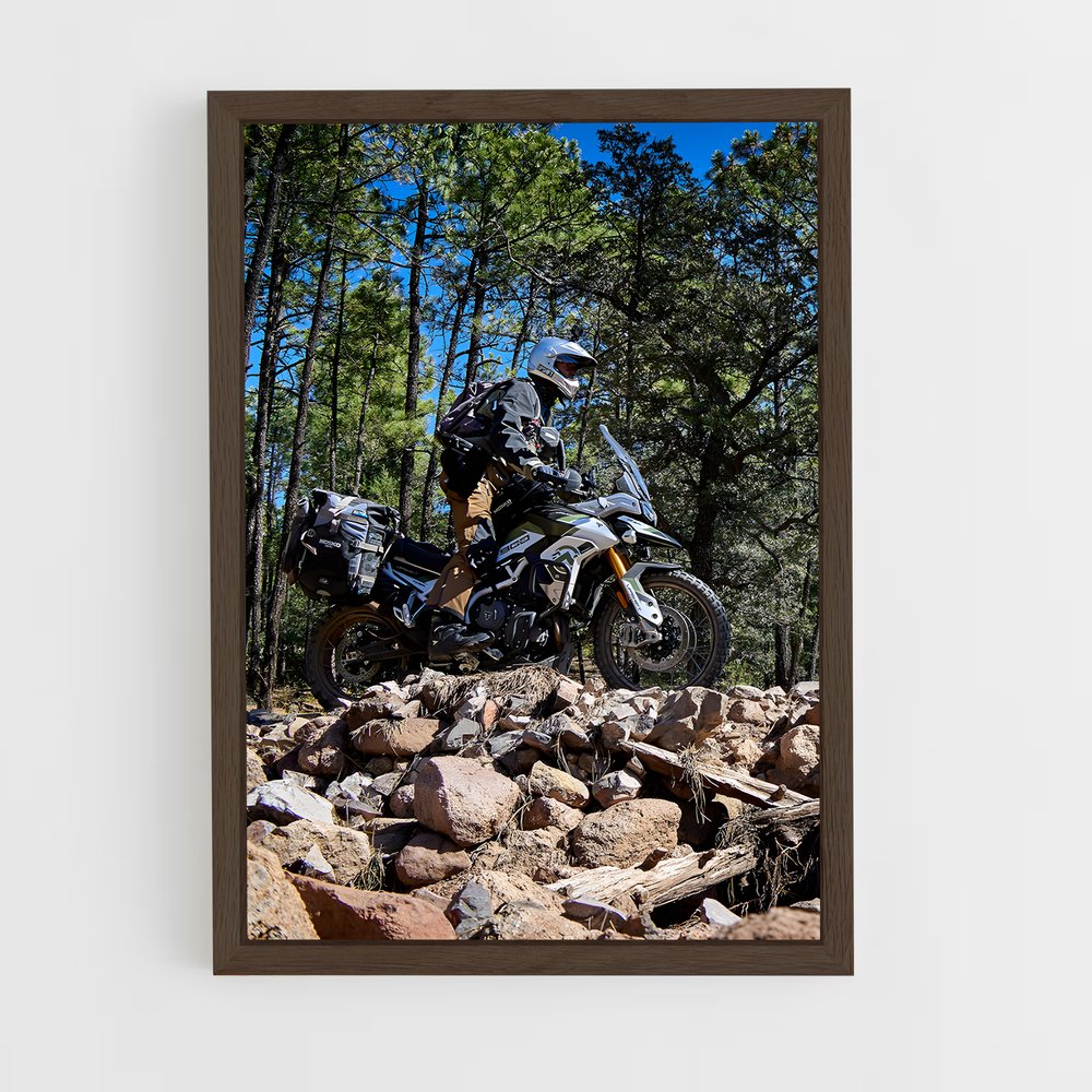 Poster majestueux Tiger rally – affiche Triumph (vue 5)